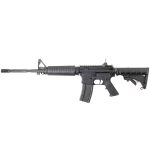Authentic AR-15 style