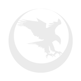 Nighthawk Custom Predator 2026 Edition 9mm - Firearms > Handguns > Semi Auto | Utah Gun Shop