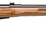 Savage 25 Varminter-T .17 Hornet 24″ Laminate Thumbhole RH