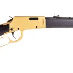 Rossi Rio Bravo .22 LR 18″ Lever Action – Gold